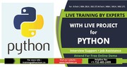 Python Online Live Training