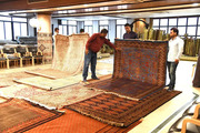 Handmade Carpets & Rugs Store in Jaipur | Saraswati Global